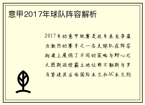 意甲2017年球队阵容解析